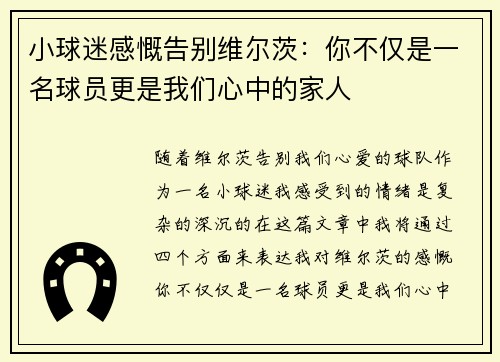 小球迷感慨告别维尔茨:你不仅是一名球员更是我们心中的家人