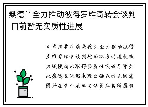桑德兰全力推动彼得罗维奇转会谈判 目前暂无实质性进展